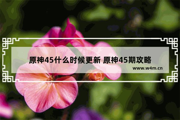 原神45什么时候更新 原神45期攻略