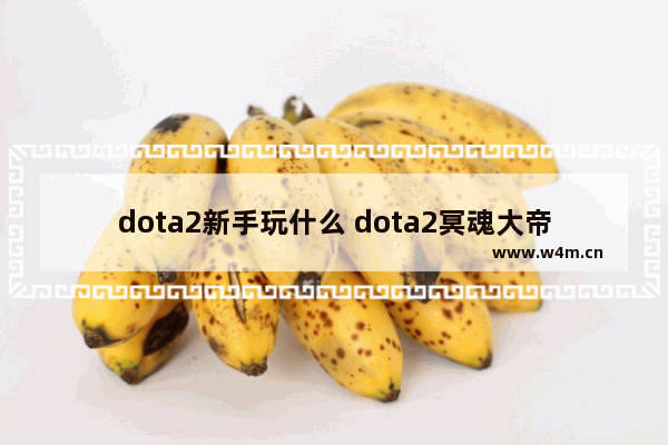 dota2新手玩什么 dota2冥魂大帝 骷髅王