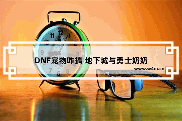 DNF宠物咋搞 地下城与勇士奶奶