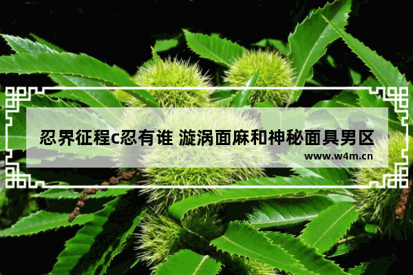 忍界征程c忍有谁 漩涡面麻和神秘面具男区别