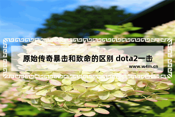 原始传奇暴击和致命的区别 dota2一击必杀