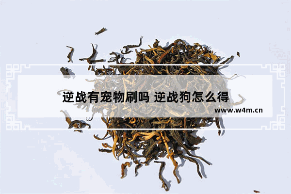 逆战有宠物刷吗 逆战狗怎么得