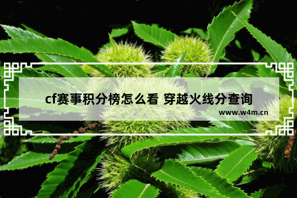 cf赛事积分榜怎么看 穿越火线分查询