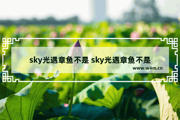 sky光遇章鱼不是 sky光遇章鱼不是