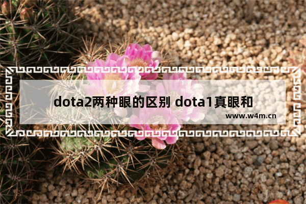 dota2两种眼的区别 dota1真眼和普通眼的侦查范围一样吗