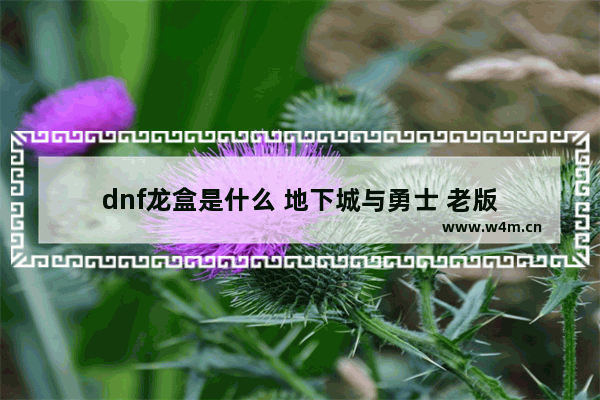 dnf龙盒是什么 地下城与勇士 老版