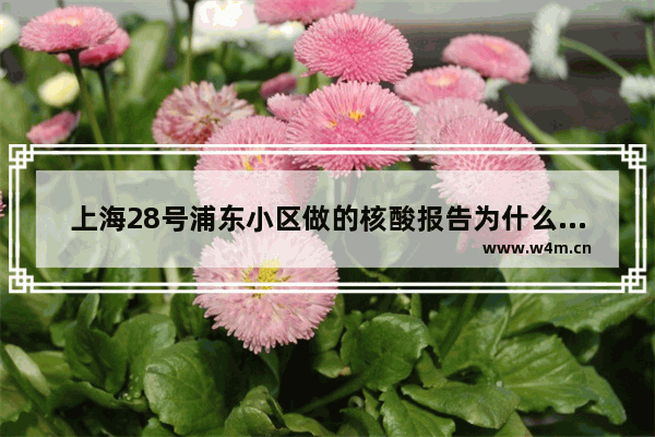 上海28号浦东小区做的核酸报告为什么还没有结果 地下城与勇士12.28