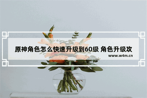 原神角色怎么快速升级到60级 角色升级攻略原神