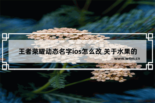 王者荣耀动态名字ios怎么改 关于水果的王者荣耀名字