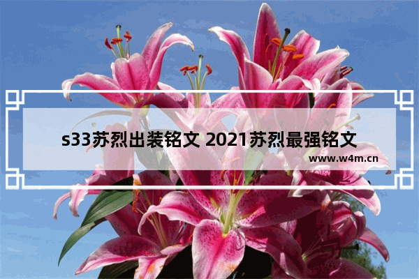 s33苏烈出装铭文 2021苏烈最强铭文