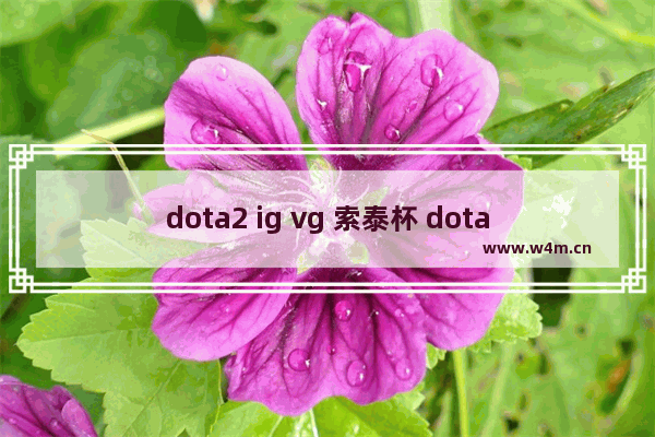 dota2 ig vg 索泰杯 dota2 ig vg 索泰杯