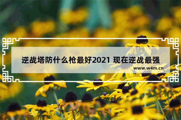 逆战塔防什么枪最好2021 现在逆战最强武器