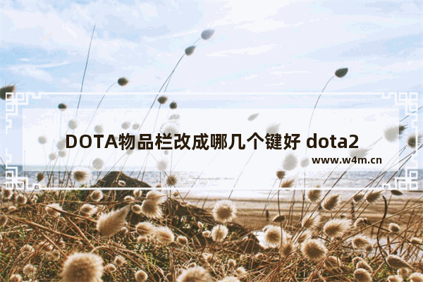 DOTA物品栏改成哪几个键好 dota2怎么把要买的装备放在右下角