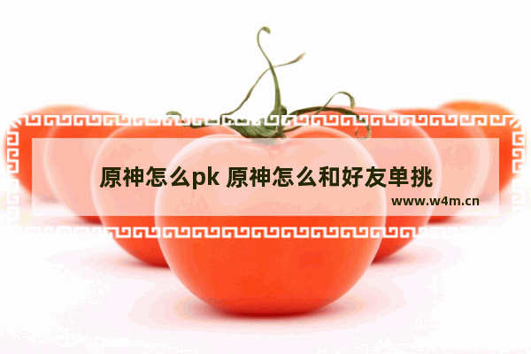 原神怎么pk 原神怎么和好友单挑