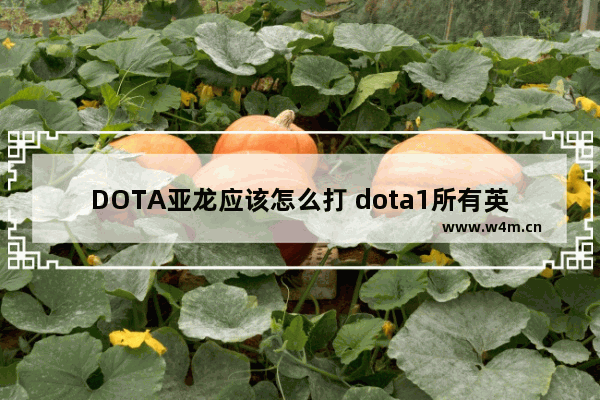 DOTA亚龙应该怎么打 dota1所有英雄名字及技能介绍