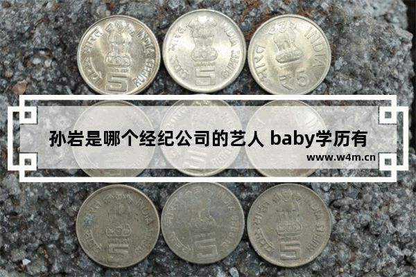 孙岩是哪个经纪公司的艺人 baby学历有多高