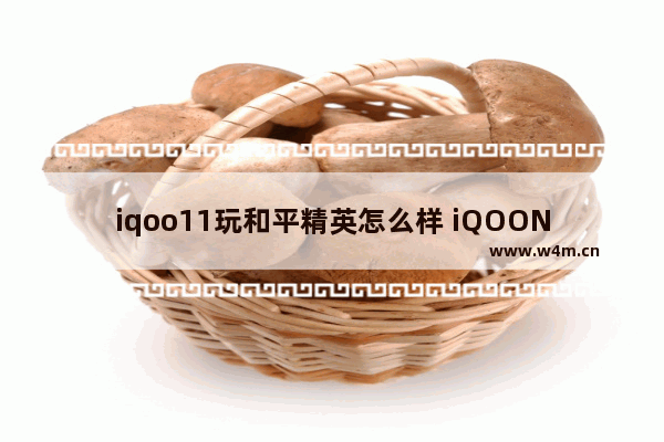 iqoo11玩和平精英怎么样 iQOONeo5活力版和平精英能开90帧吗