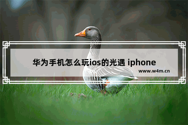 华为手机怎么玩ios的光遇 iphone光遇怎么进去