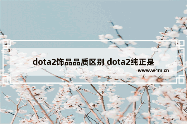 dota2饰品品质区别 dota2纯正是什么意思