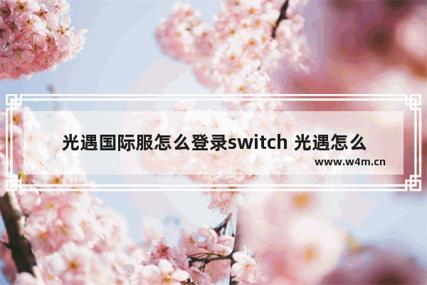 光遇国际服怎么登录switch 光遇怎么上swich