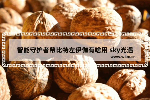 智能守护者希比特左伊伽有啥用 sky光遇扮npc