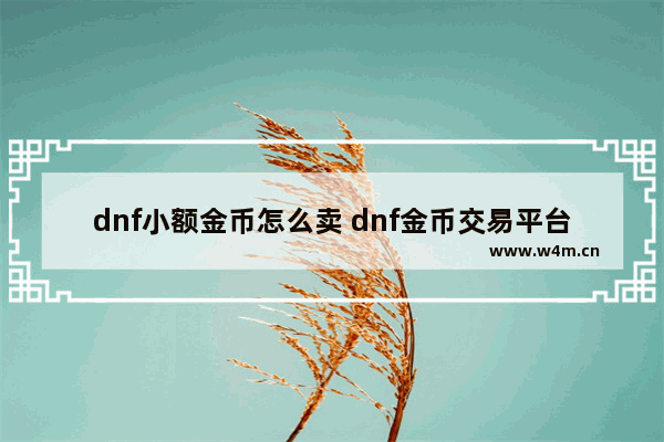 dnf小额金币怎么卖 dnf金币交易平台哪个最好