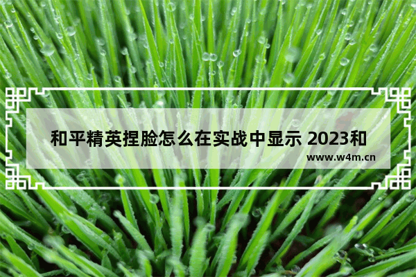 和平精英捏脸怎么在实战中显示 2023和平精英捏脸如何在海岛显示