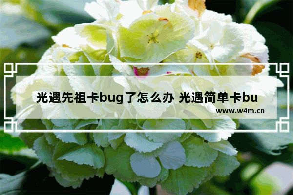 光遇先祖卡bug了怎么办 光遇简单卡bug