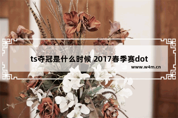 ts夺冠是什么时候 2017春季赛dota2时间