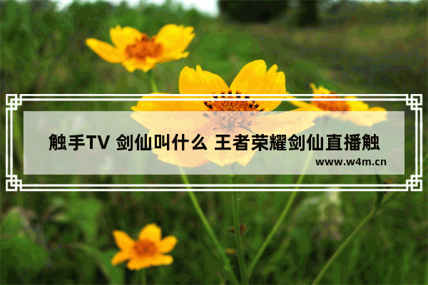 触手TV 剑仙叫什么 王者荣耀剑仙直播触手