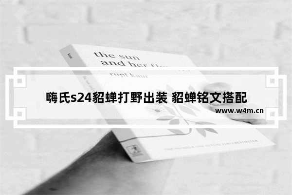 嗨氏s24貂蝉打野出装 貂蝉铭文搭配