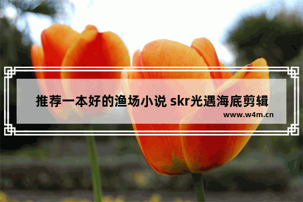 推荐一本好的渔场小说 skr光遇海底剪辑