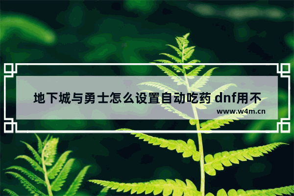 地下城与勇士怎么设置自动吃药 dnf用不了药剂