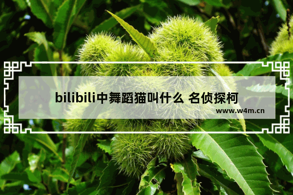 bilibili中舞蹈猫叫什么 名侦探柯南新兰撒糖集数