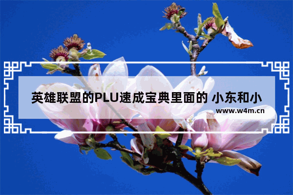 英雄联盟的PLU速成宝典里面的 小东和小米一起。那个小东去哪里做节目了啊求解 dota2小东