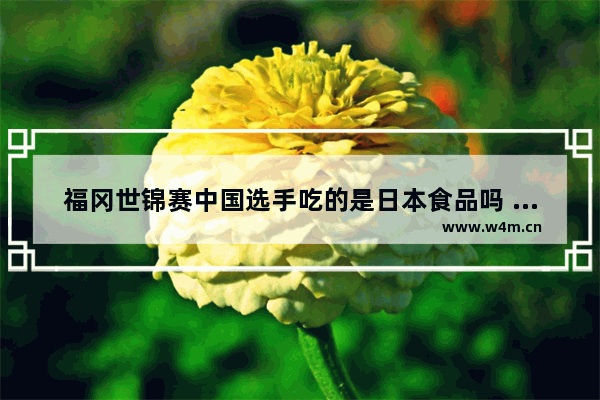 福冈世锦赛中国选手吃的是日本食品吗 康师傅王者荣耀CDK兑换