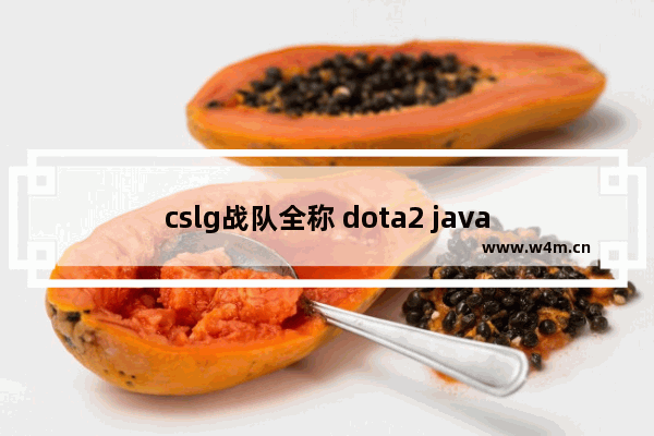 cslg战队全称 dota2 java