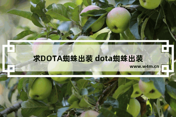 求DOTA蜘蛛出装 dota蜘蛛出装