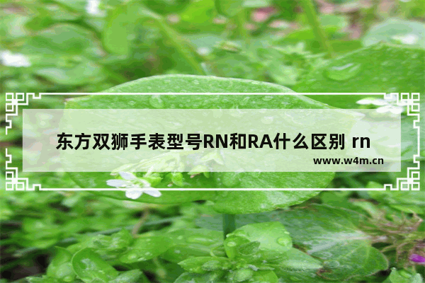 东方双狮手表型号RN和RA什么区别 rn是什么意思网络用语