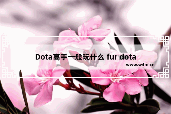 Dota高手一般玩什么 fur dota2