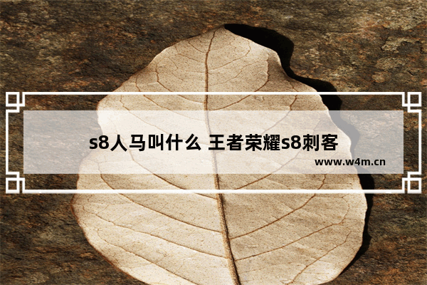 s8人马叫什么 王者荣耀s8刺客