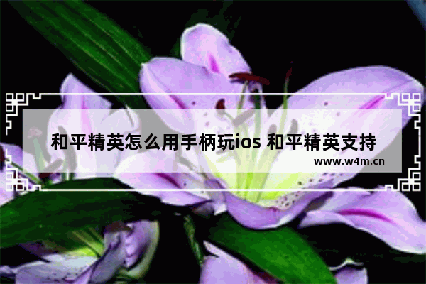 和平精英怎么用手柄玩ios 和平精英支持otg