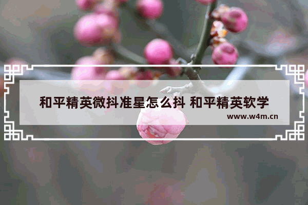 和平精英微抖准星怎么抖 和平精英软学