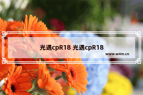 光遇cpR18 光遇cpR18