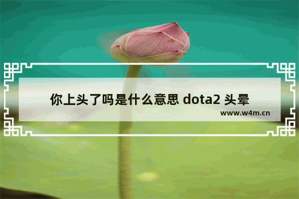 你上头了吗是什么意思 dota2 头晕