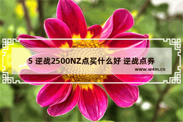 5 逆战2500NZ点买什么好 逆战点券买什么好