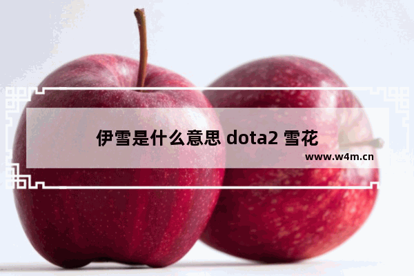 伊雪是什么意思 dota2 雪花