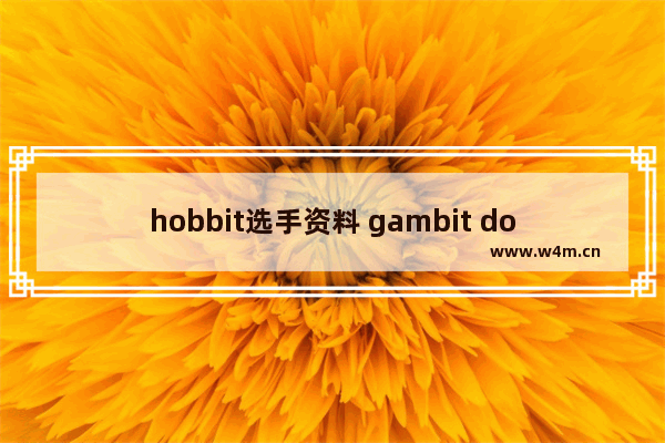 hobbit选手资料 gambit dota2