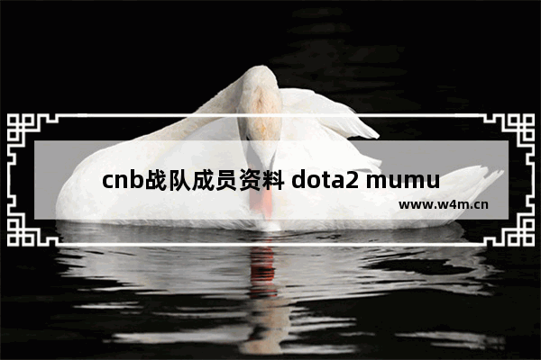 cnb战队成员资料 dota2 mumu