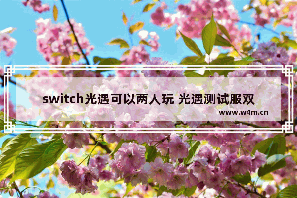 switch光遇可以两人玩 光遇测试服双人